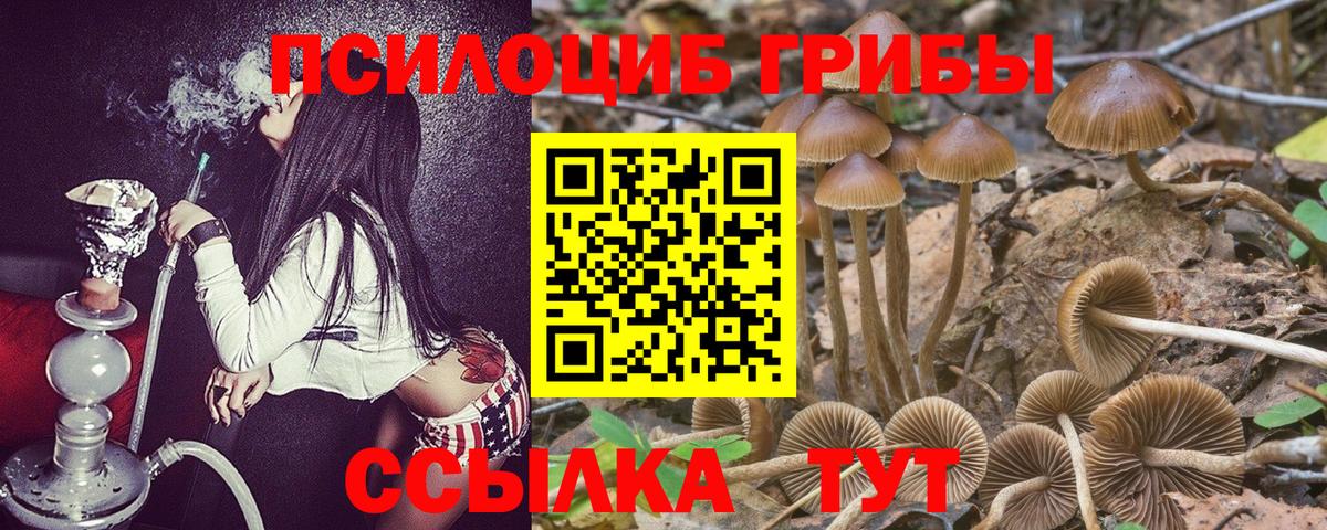 Галлюциногенные грибы Psilocybe  Вход с VPN  Белорецк 